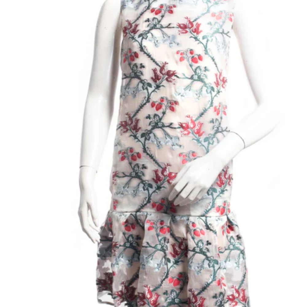 Erdem strawberry Nena dress - Picture 3 of 9